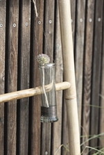 Vase mundblæst reagensglasformet med wire til ophæng fra Ib Laursen med blomst - Tinashjem